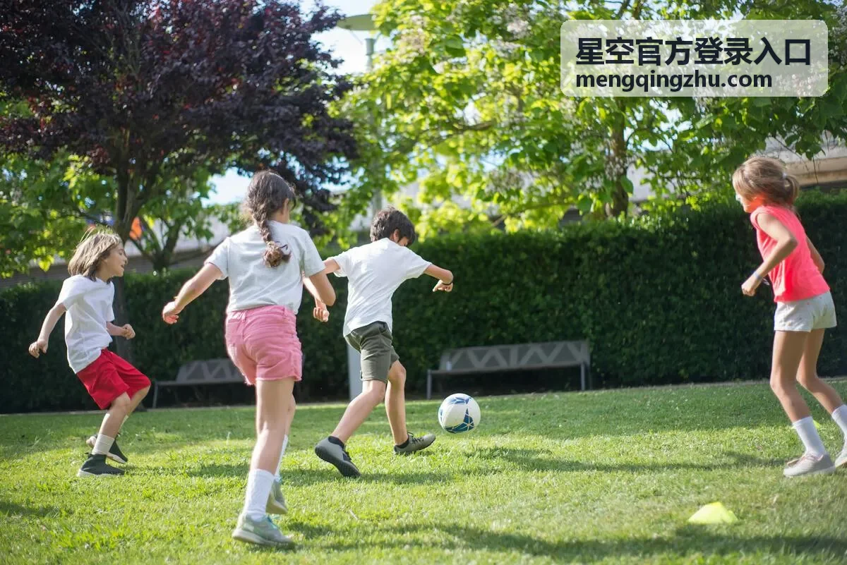 星空官方登录入口登录界面步骤演示